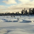 33 11 Gert Winkler 003